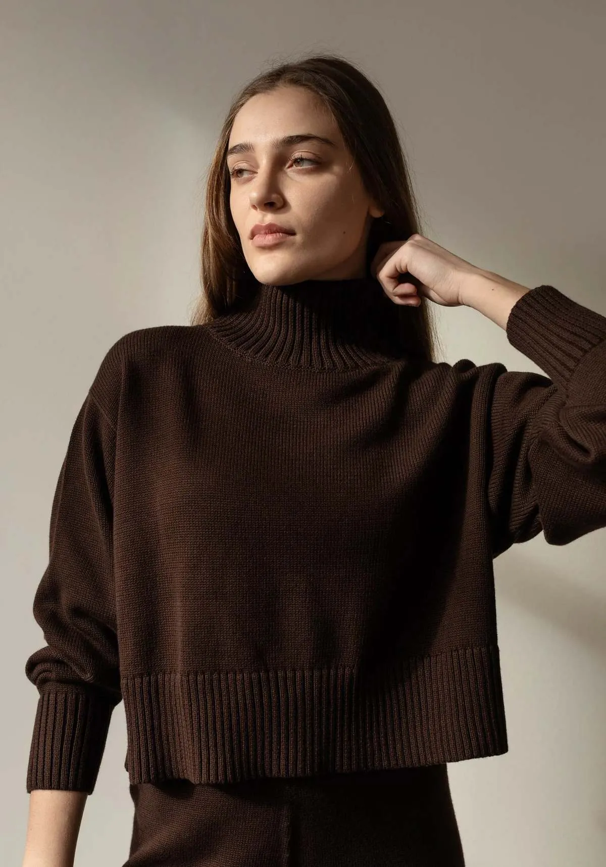 Crop Turtleneck - Walnut