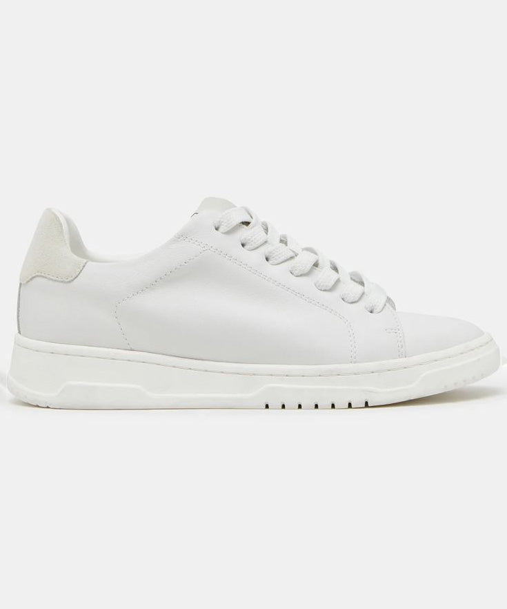 Steve Madden Elsin Sneaker - White